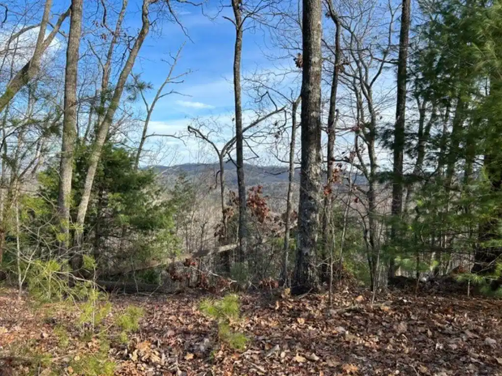 Image 1: Main View