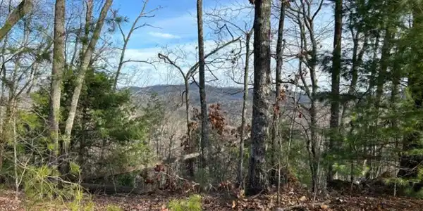 Lot 46 Mission Ridge