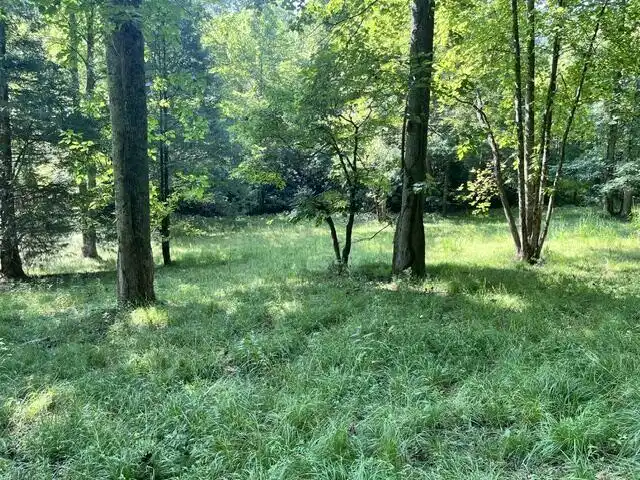 Image 1: Main View