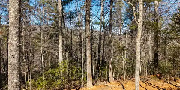 112 Big Pine Hill