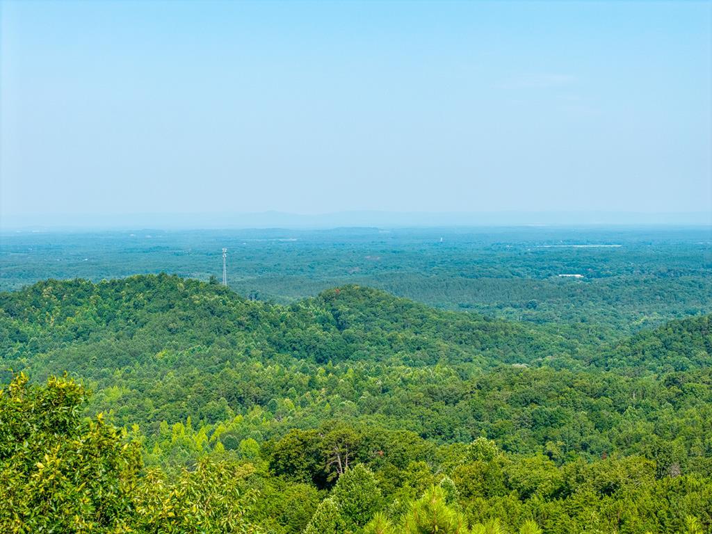 Image 1: Main View