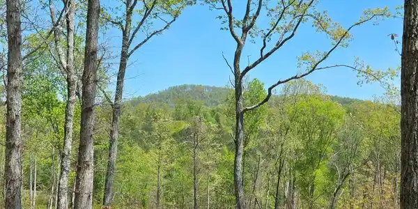 Lot 209 Oak Park Drive