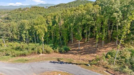 Lot 159 Gray Bluff Trail