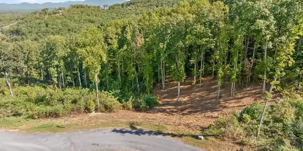 Lot 159 Gray Bluff Trail