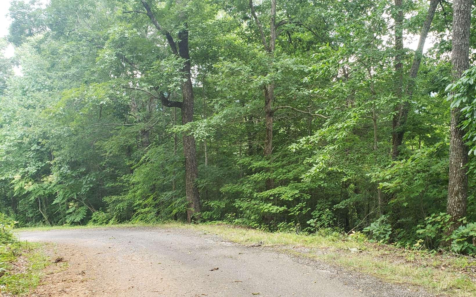 Image 4: Additional View