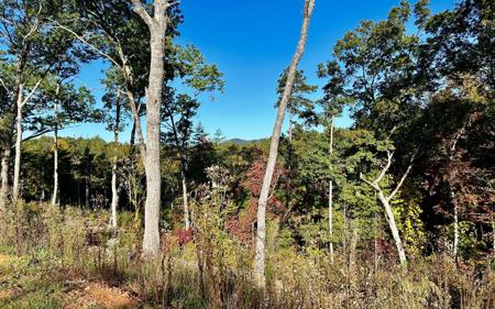 Lot 305 Greenwood Court