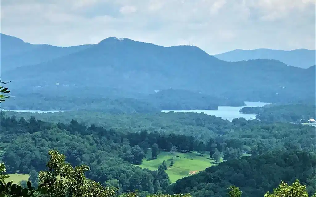 Image 1: Main View