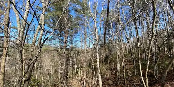 Lot 16 Freedom Pass Drive