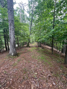 Lot 20 Moonshine Mountain Road
