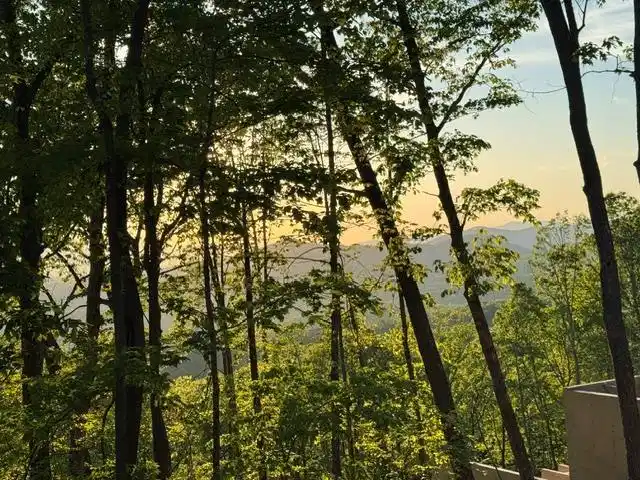 Image 1: Main View