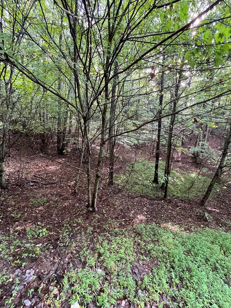 Image 1: Main View