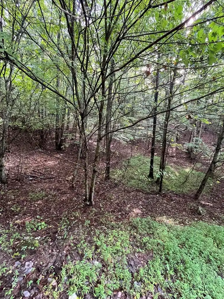 Image 1: Main View