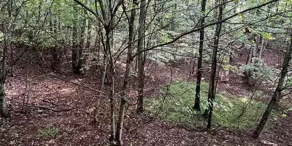 Lot 45AC Ash Branch Circle