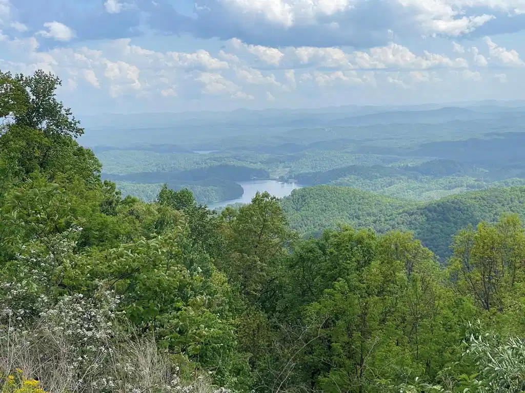 Image 1: Main View