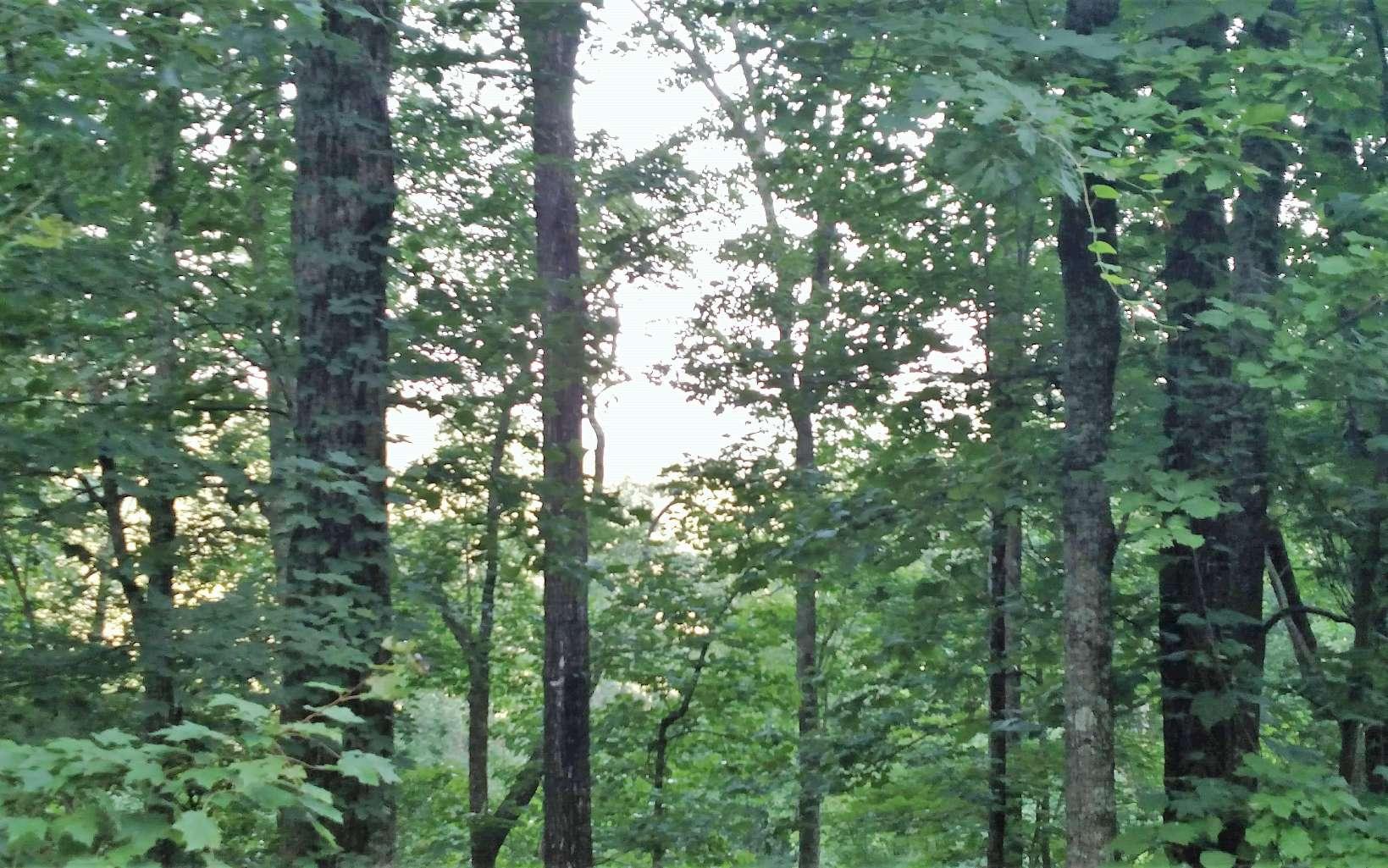 Image 3: Additional View