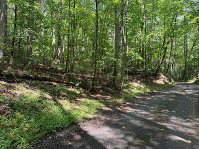 4.3 Acre Northside Road