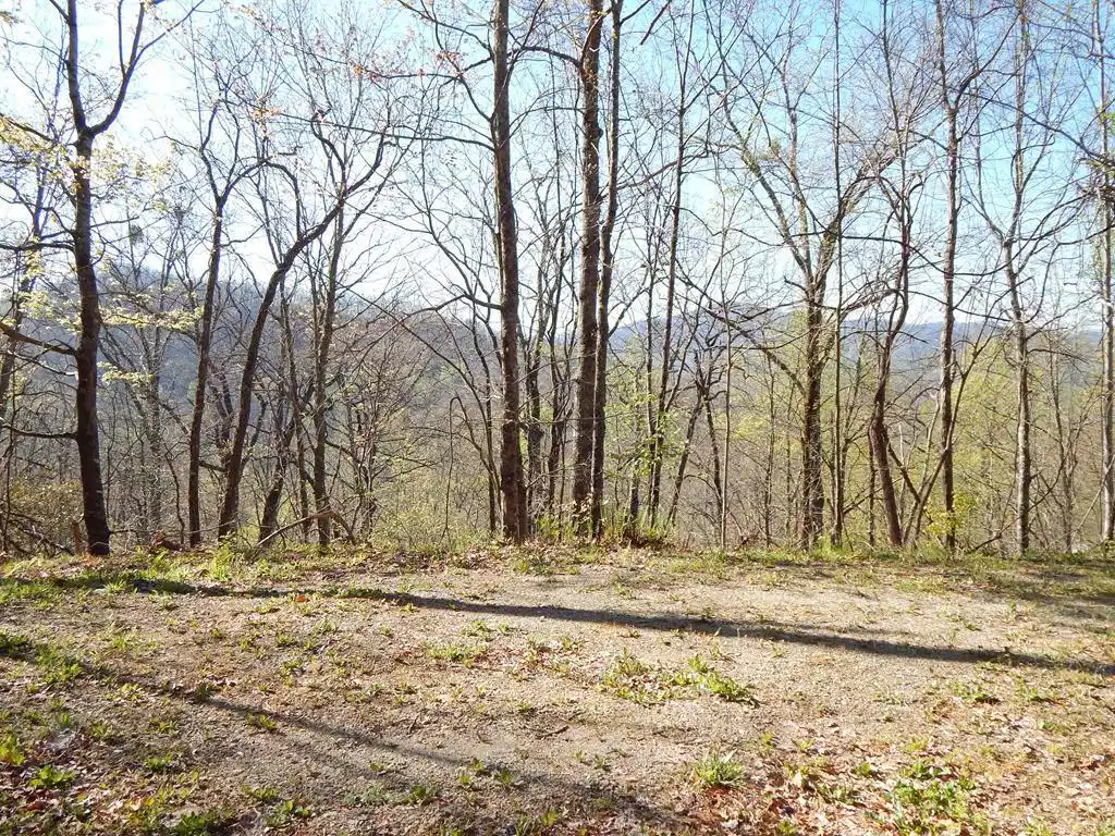 Image 1: Main View