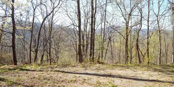 #11-2&12 Tree Top Drive