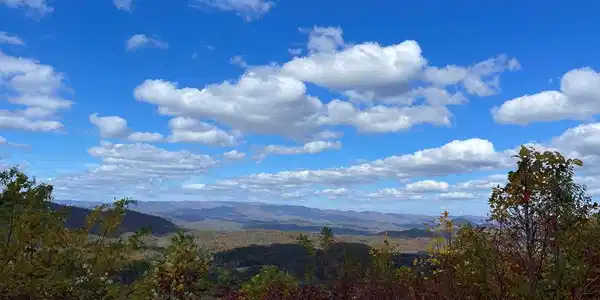 Brasstown Heights