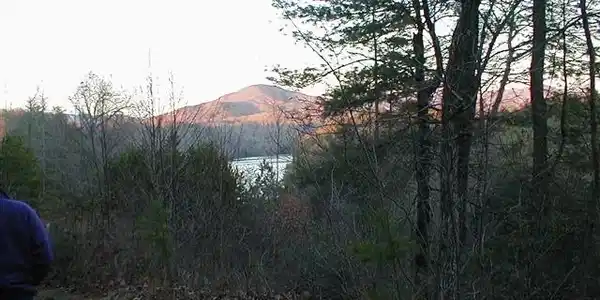 Image 4: Additional View