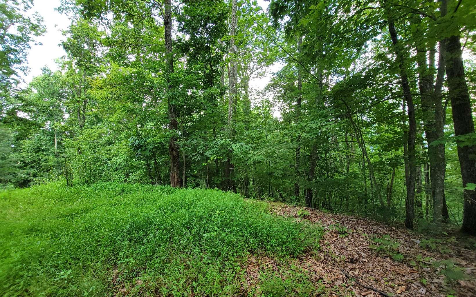 Image 3: Additional View