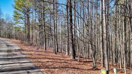 Lot 29 Loftis Mountain