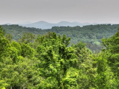 Lot 2 Hidden Acres