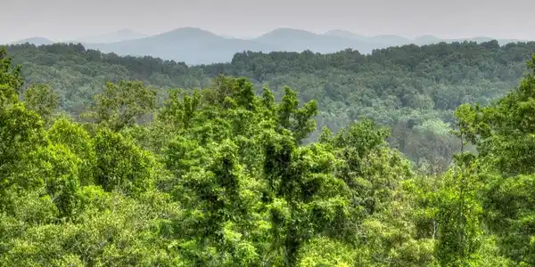 Lot 2 Hidden Acres
