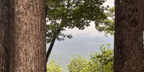 Image 2: View from neighbors yard. Could be captured once trees are cleared