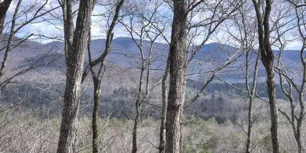 Image 2: Year round layered long range views from the prope