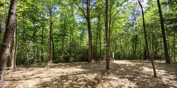 4.0 acre Donley Road
