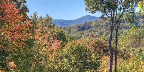 240 Lower Prince Mountain Road