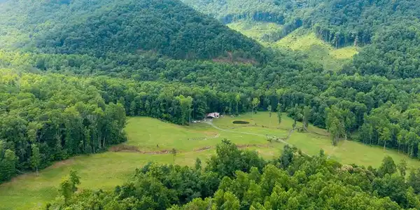 1449 Muskrat Creek Road