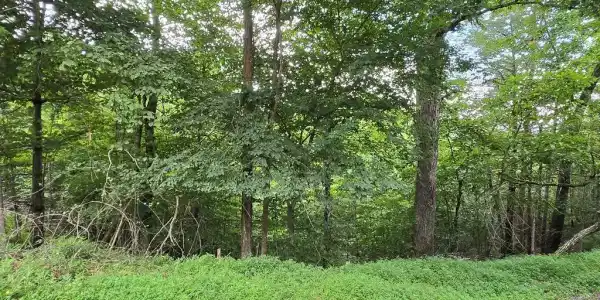 lot 71 Necowa Cove Overlook