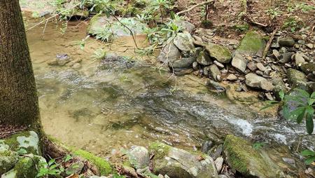 Little Rock Creek Road