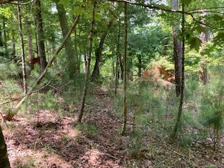 LT 3041 Parnell Drive