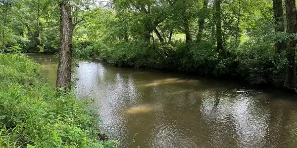 Lot 55 Brasstown Trails