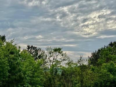 Lot 28 Eastside Drive