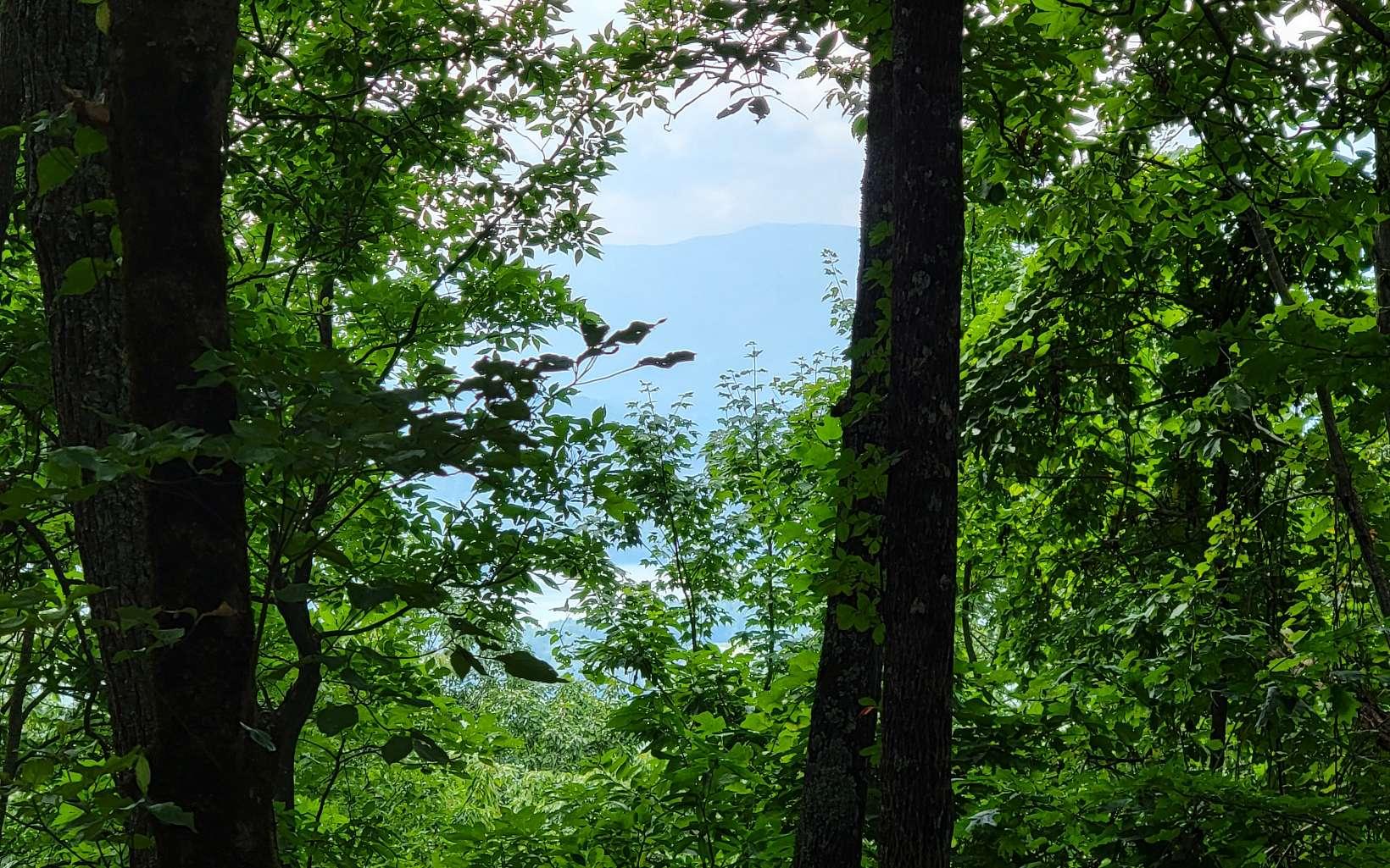 Image 4: Additional View