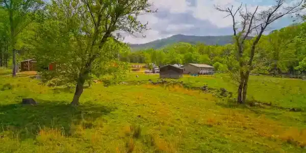 3325 Pack Mountain Road