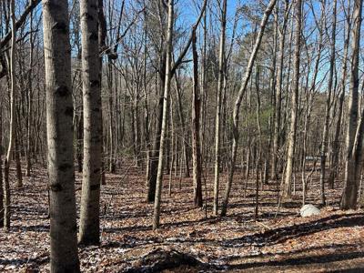 Lot 16 Deer Run Road