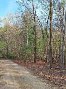 Lt 22 Lot 22 Mull Lane Cir,