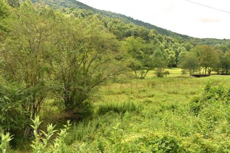 Skeenah Gap Road
