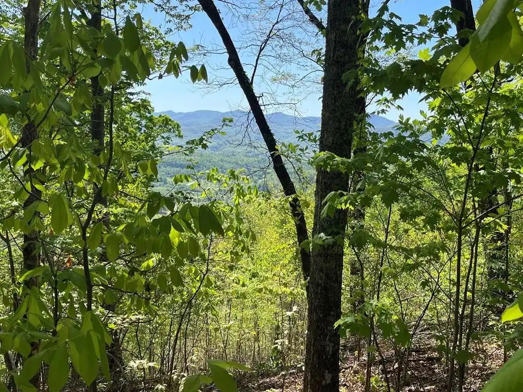 Image 1: Main View
