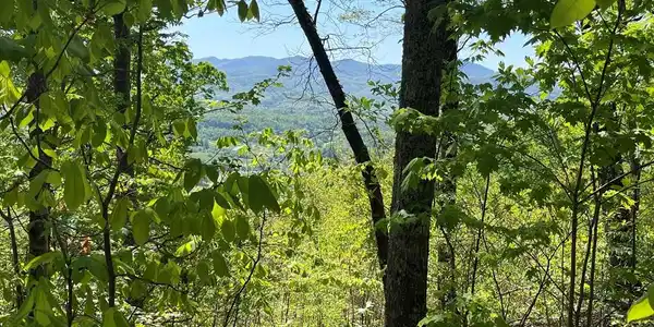 Lot 11J Ash Branch View