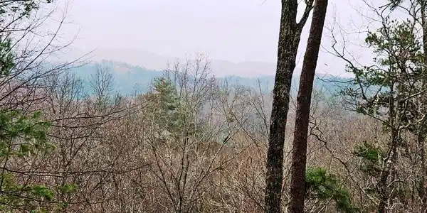 Lot 48 Wayah Ridge