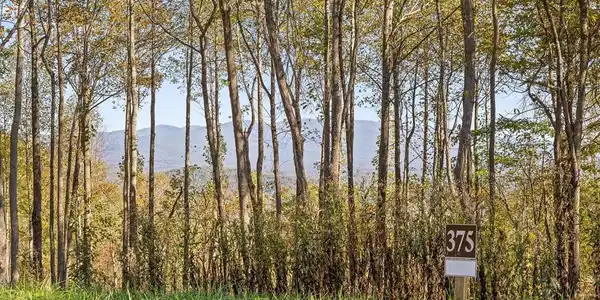 Lot 375 Calloway Mountain Road