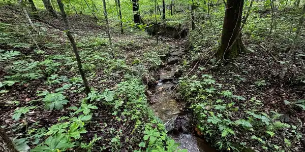 Fisher Creek Road