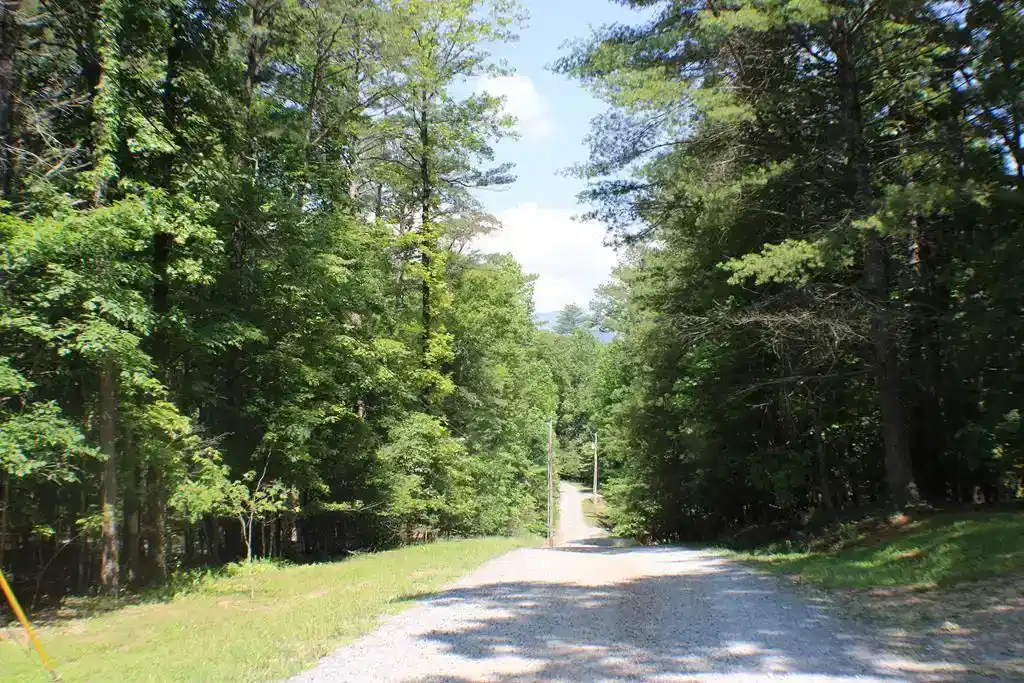 Image 1: Main View