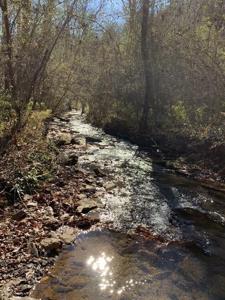 Lot 95 Cedar Road